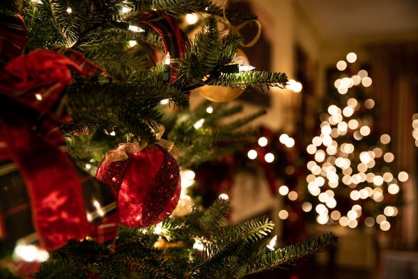 Friedvolle Weihnachten und einen guten Start ins neue Jahr!